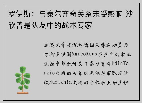 罗伊斯：与泰尔齐奇关系未受影响 沙欣曾是队友中的战术专家