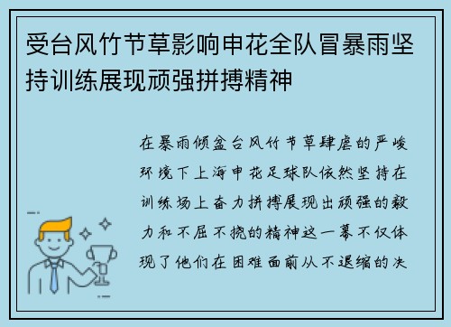 受台风竹节草影响申花全队冒暴雨坚持训练展现顽强拼搏精神