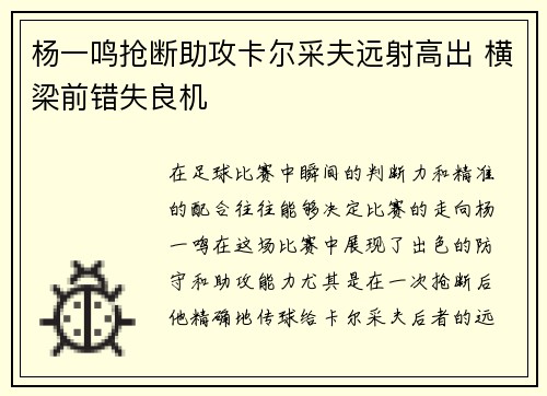 杨一鸣抢断助攻卡尔采夫远射高出 横梁前错失良机